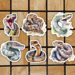 Watercolor Snakes Sticker Pack of 6 Vinyl Stickers - Waterproof Sticker Set